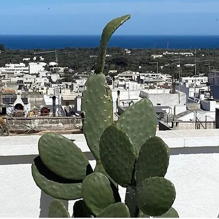 Casa Doucet Appartement *